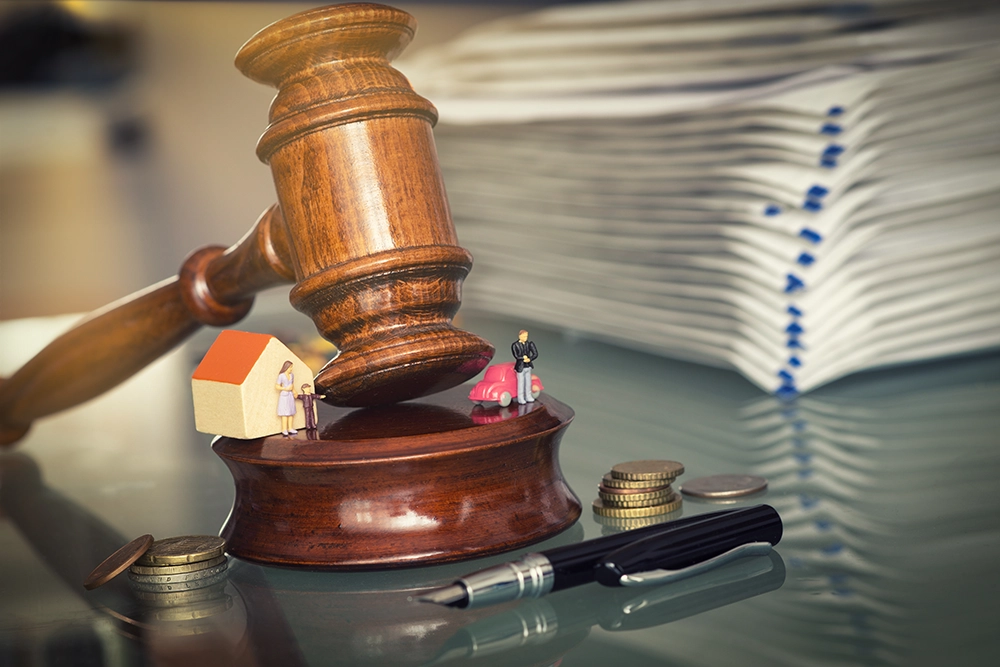 Publications In The Law Gazette, A Publication Of The Law Society Of Singapore.